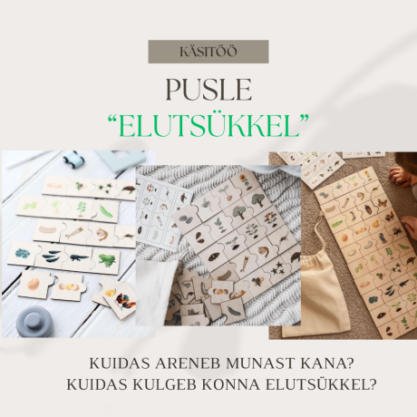 Elutsüklite pusle - käsitöö